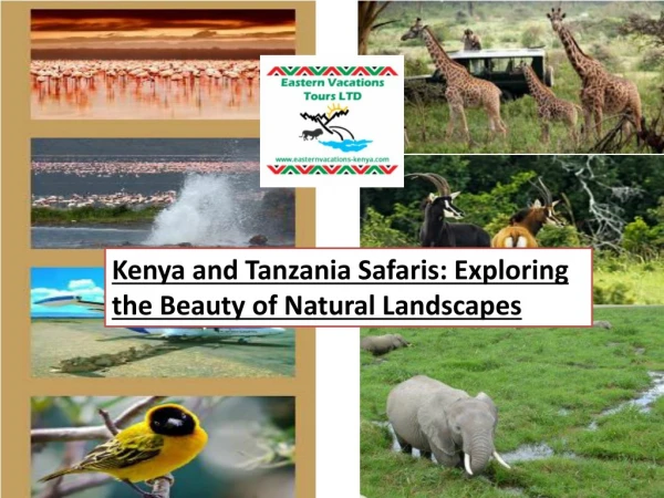 Kenya and Tanzania Safaris - Exploring the Beauty of Natural Landscapes