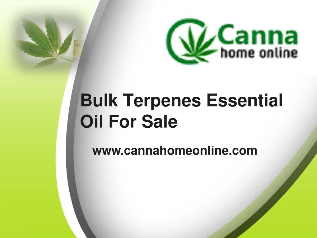 bulk terpenes essential oil for sale
