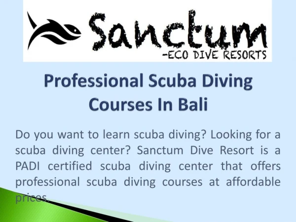 Professional Scuba Diving Courses In Bali