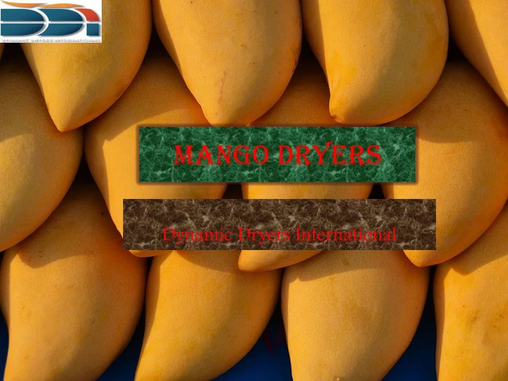 mango dryers