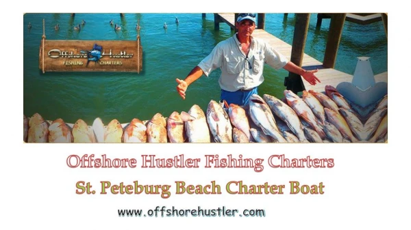 Stpete Beach Fishing Charter | Tampa Charter Boat | OffshoreHustler