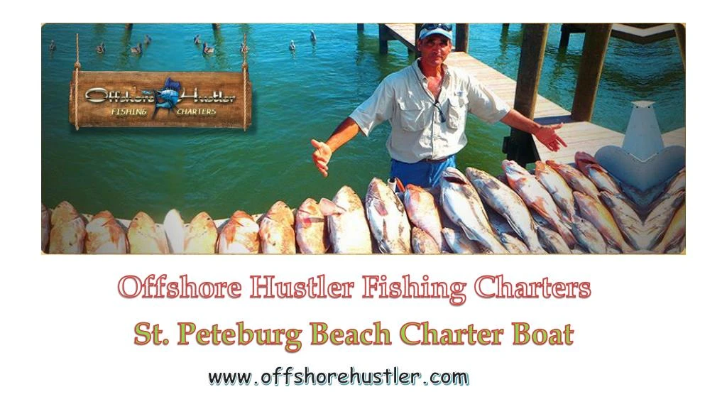 offshore hustler fishing charters