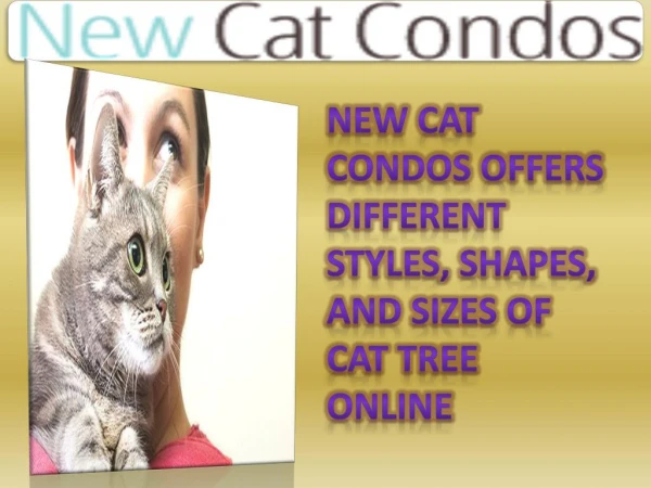 New Cat Condos Offers Different Styles, Shapes, and Sizes of Cat Tree Online