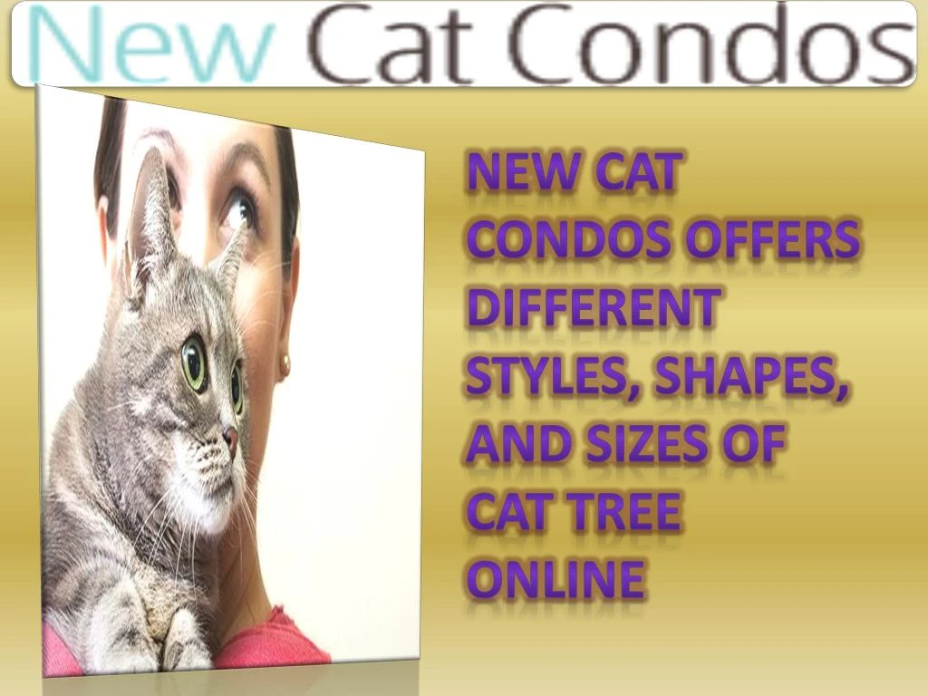 new cat condos offers different styles shapes