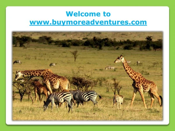 Kenya Budget Tours