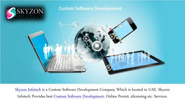 Skyzon Infotech - Advantages of Custom Software Development