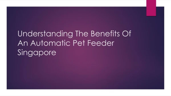 Understanding The Benefits Of An Automatic Pet Feeder Singapore