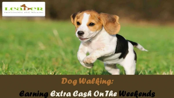 Dog Walking: Earning Extra Cash On The Weekends