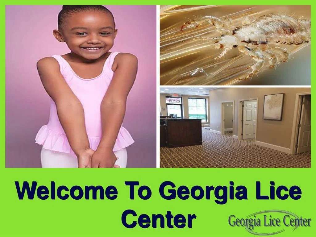 welcome to georgia lice center