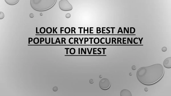 Look for the Best and Popular Cryptocurrency to Invest