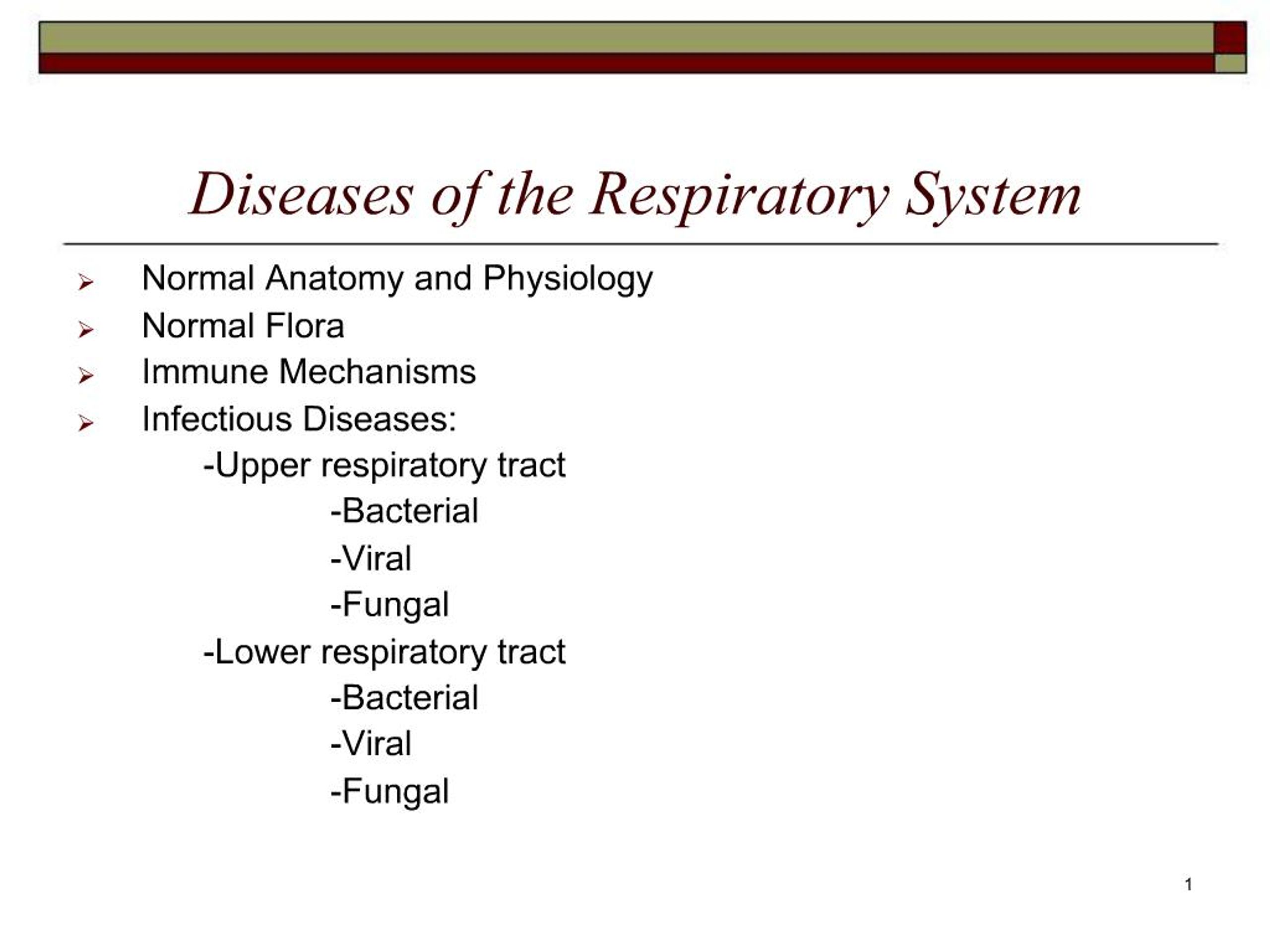 PPT - Diseases of the Respiratory System PowerPoint Presentation, free ...