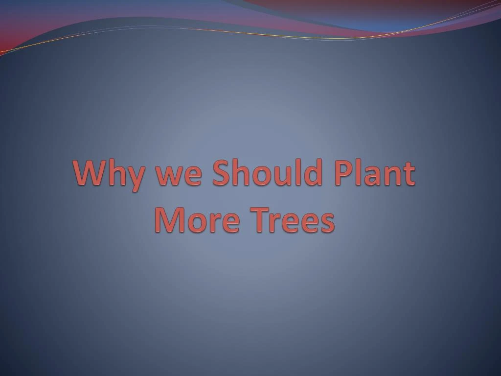 why we should plant more trees