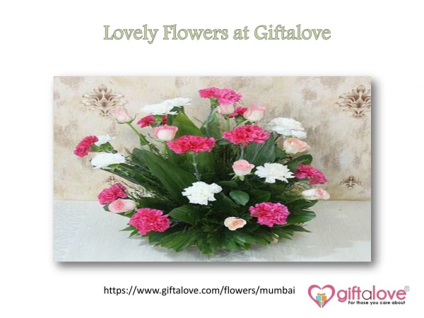 Lovely Flowers at Giftalove