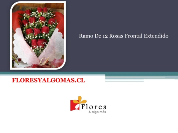 Ramo De 12 Rosas Frontal Extendido - Floresyalgomas Chile