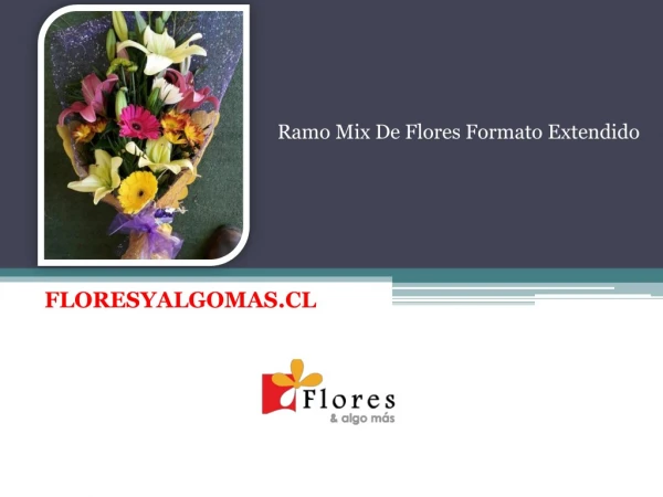 Ramo Mix De Flores Formato Extendido - Floresyalgomas Chile