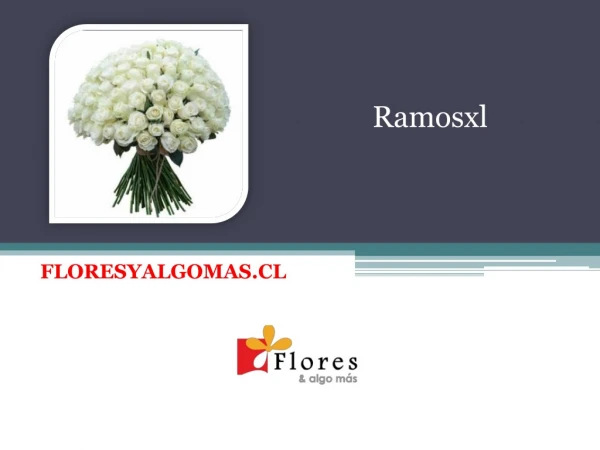 Ramosxl - Floresyalgomas Chile