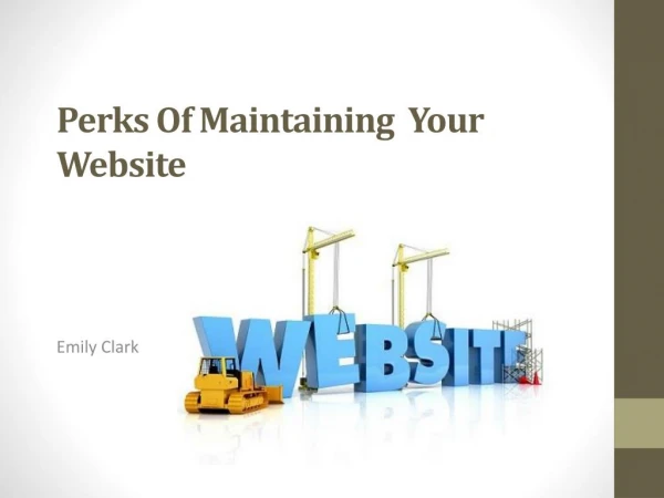 Perth of maintaining your website