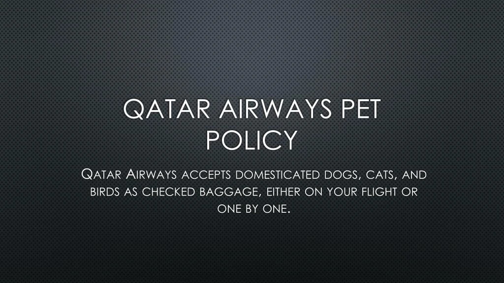 qatar airways pet policy