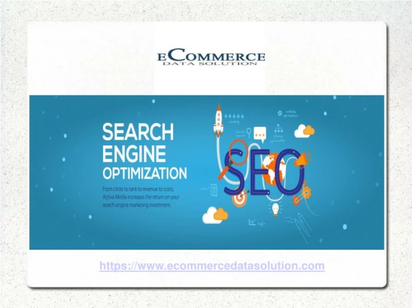 Ecommerce Data Solution: Best SEO Services Company India