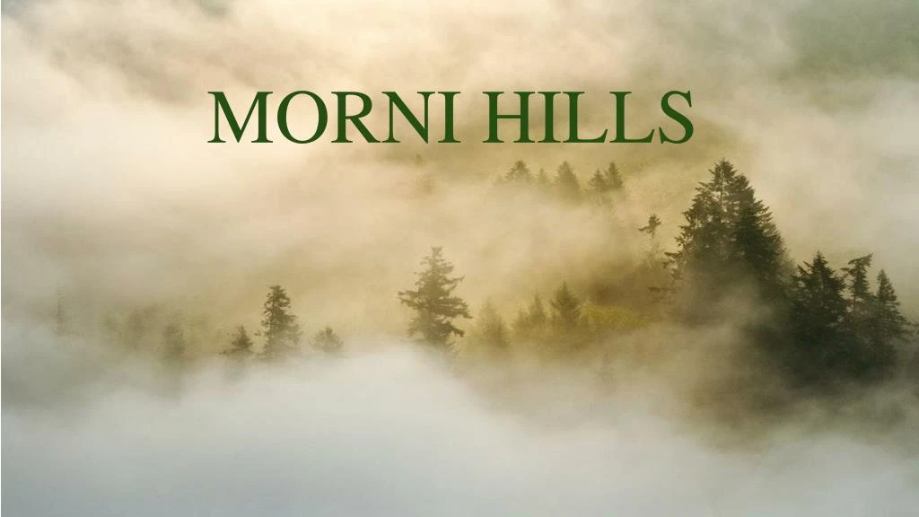 morni hills