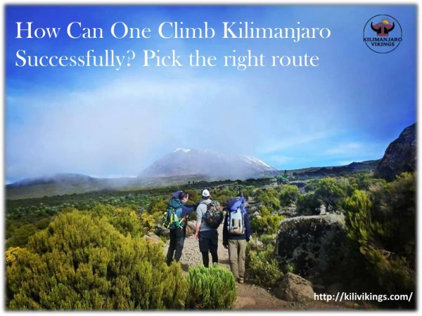 How can one climb kilimanjaro successfully pick the right route