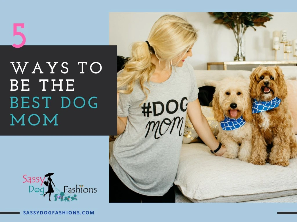 5 ways to be the best dog mom