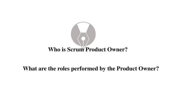 Roles of scrum product owner