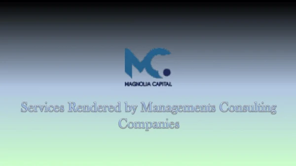 Services Rendered by Managements Consulting Companies