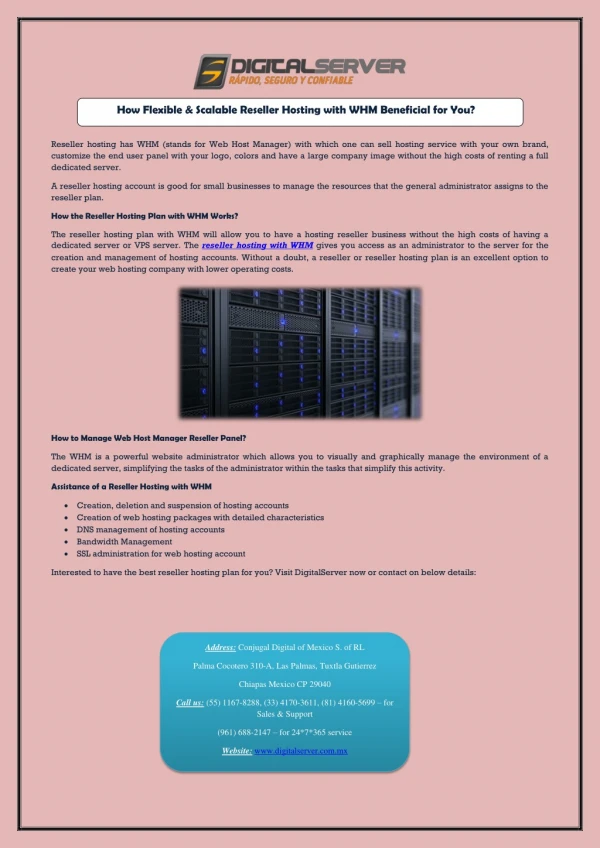 How Flexible & Scalable Reseller Hosting with WHM Beneficial for You?