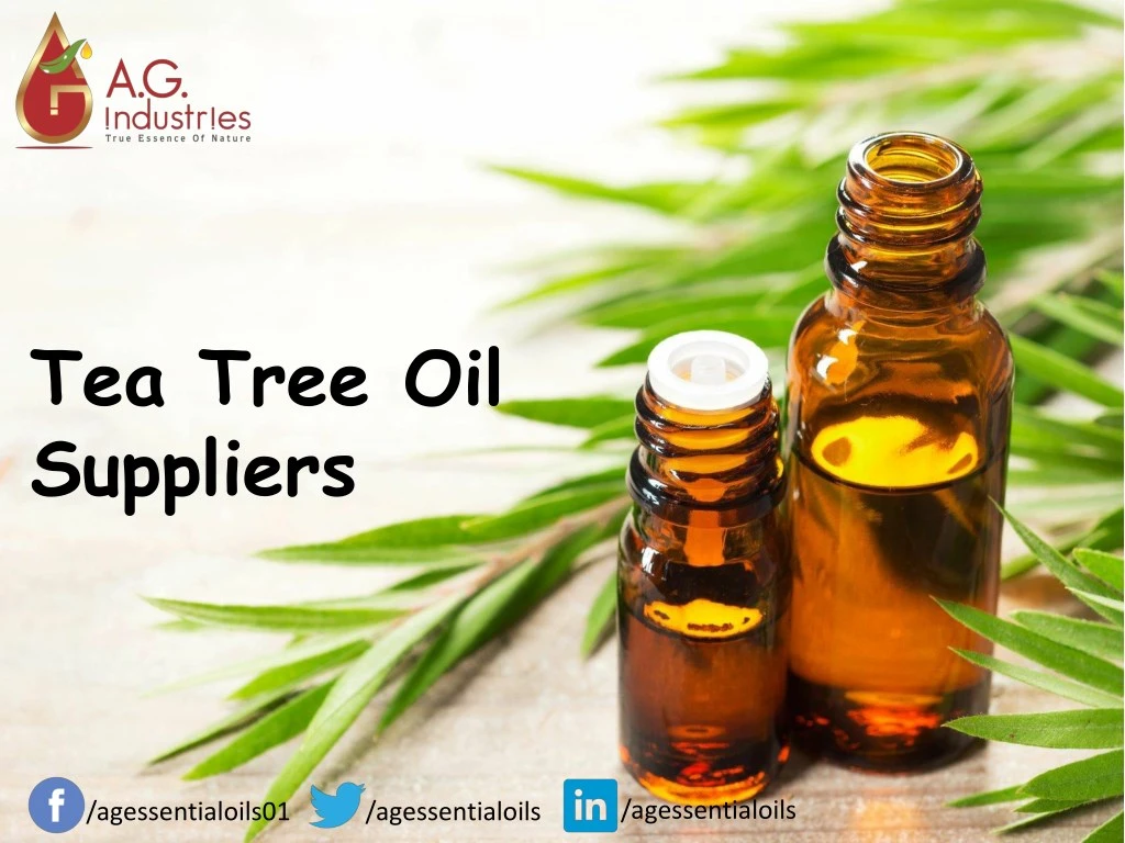 tea tree oil suppliers