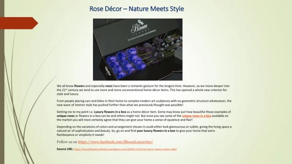 Rose Décor – Nature Meets Style