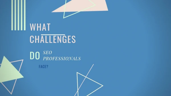 What Challenges Do SEO Professionals Face?