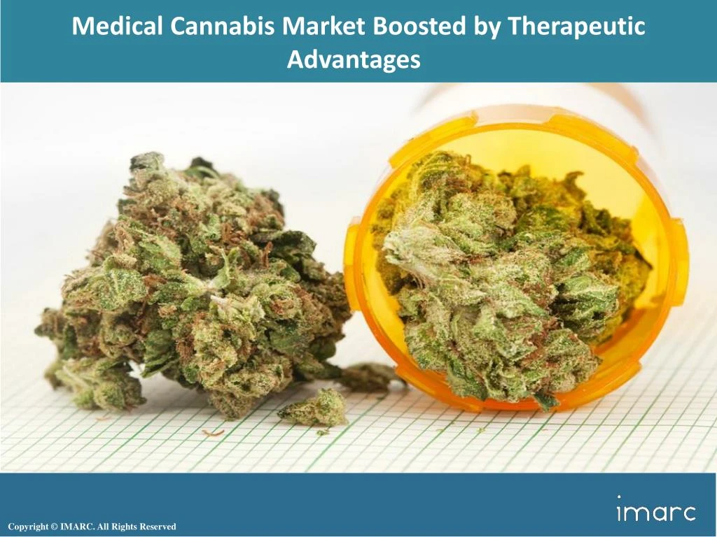 medical cannabis market boosted by therapeutic