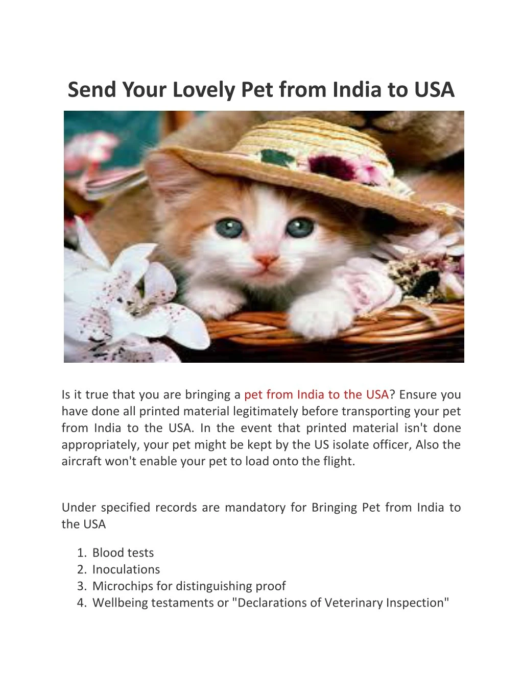 send your lovely pet from india to usa