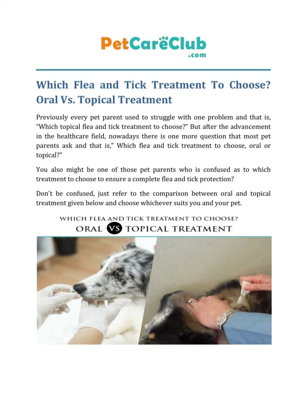 Which Flea and Tick Treatment To Choose? Oral Vs. Topical Treatment