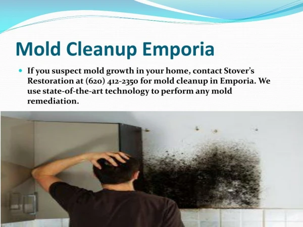 Mold Cleanup Emporia