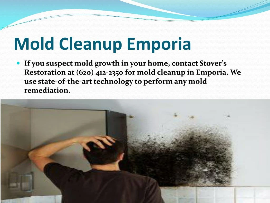 mold cleanup emporia