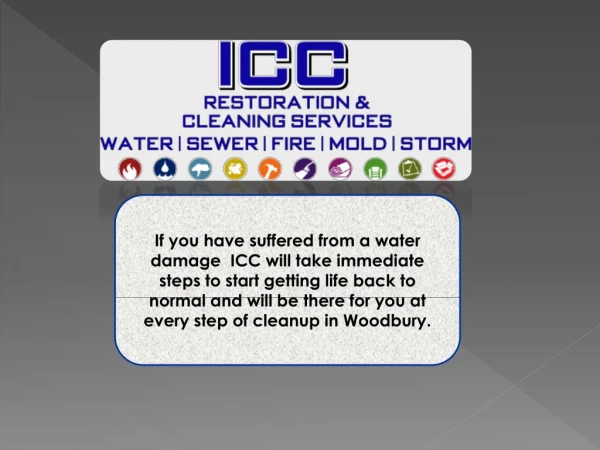 Water Damage Cleanup Rochester