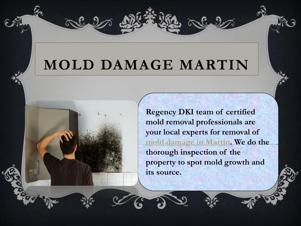 mold damage martin