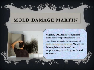 Mold Damage Martin - slide 1