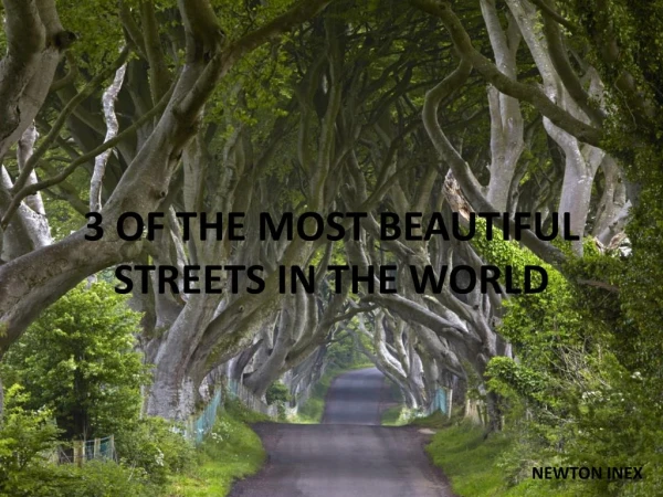 3 Of The Most Beautiful Streets In The World