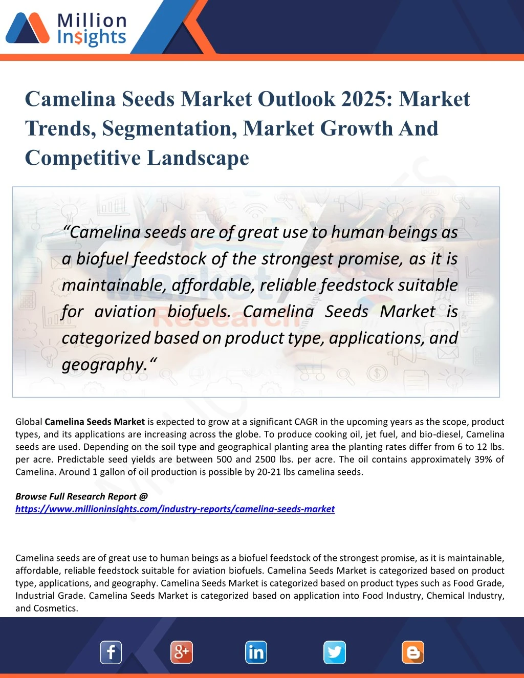 camelina seeds market outlook 2025 market trends