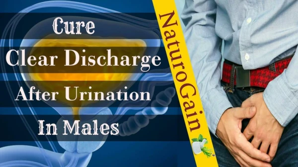 Natural Treatment to Cure Clear Discharge after Urination in Males