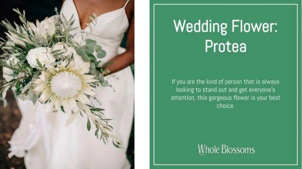 Use Protea Flower at Your Big Day Ceremony