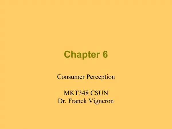 Consumer Perception MKT348 CSUN Dr. Franck Vigneron