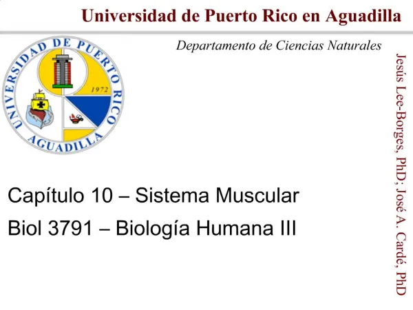 Universidad de Puerto Rico en Aguadilla