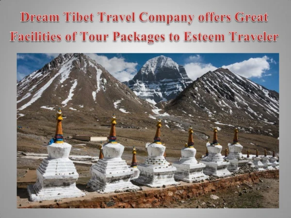 Dream Tibet Travel Company offers Great Facilities of Tour Packages to Esteem Traveler