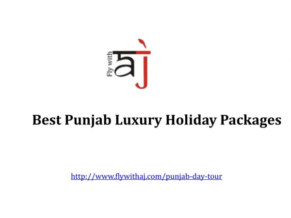 Best Punjab Luxury Holiday Packages