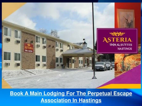 Book A Main Lodging For The Perpetual Escape Association In Hastings