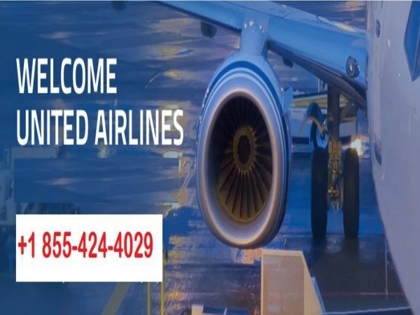 Contact the Cheap Flight in United Airlines Phone Number